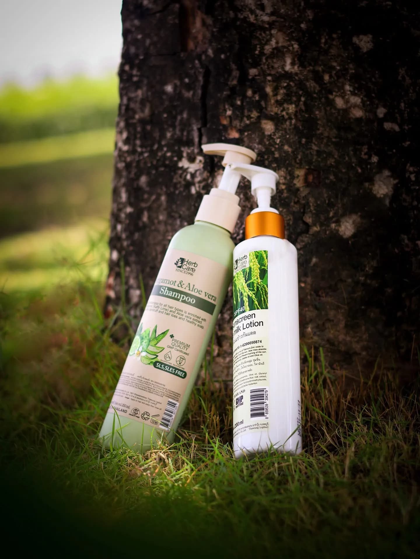 Shampoo & Sunscreen lotion